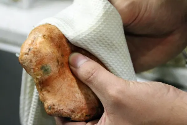 Limpieza de níscalos antes de congelar